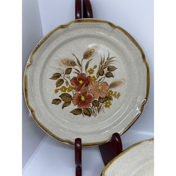 VTG Endura Collection Festive Stoneware Plates Japan Set of 5 Floral 10" - 7.25" - Picture 6 of 9